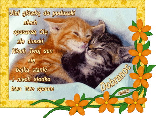 Dwa kotki przytulone dobranoc